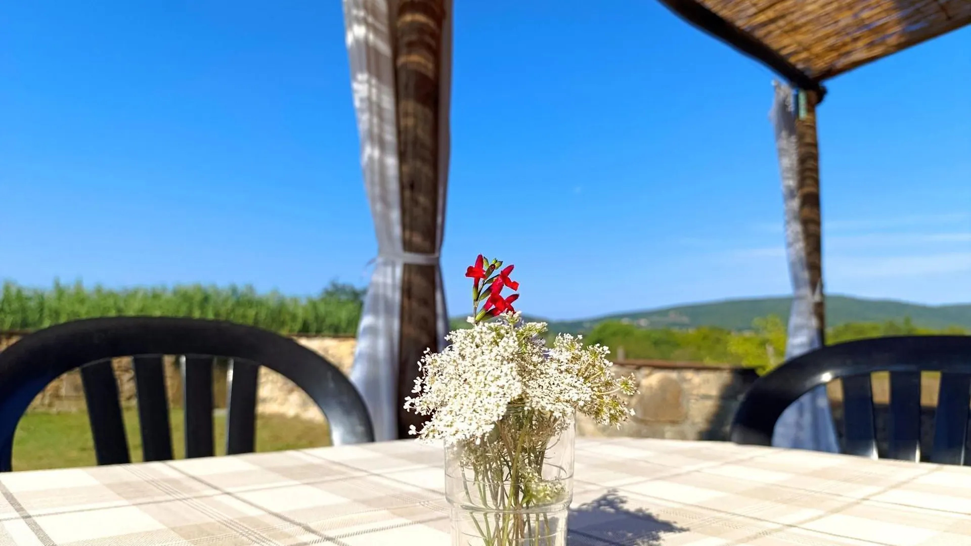 Alloggio per agriturismo Agriturismo Bio La Muccaia Massa Marittima