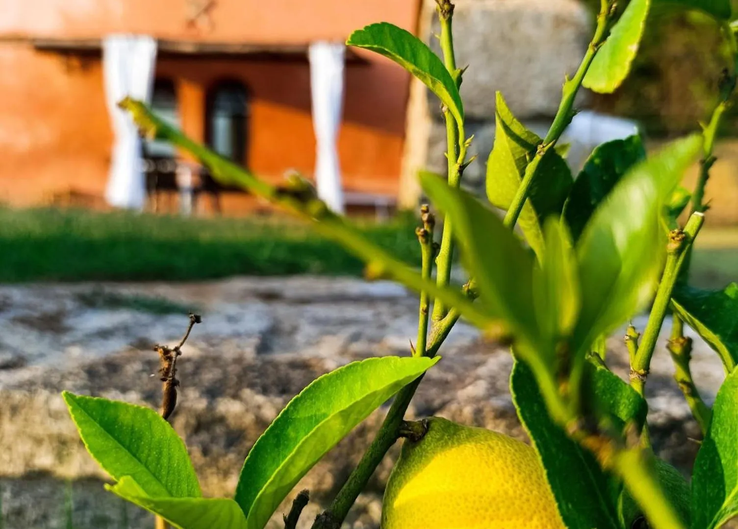 Agriturismo Bio La Muccaia Massa Marittima 0*,